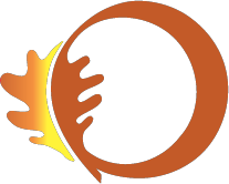 Test-Logo-OT
